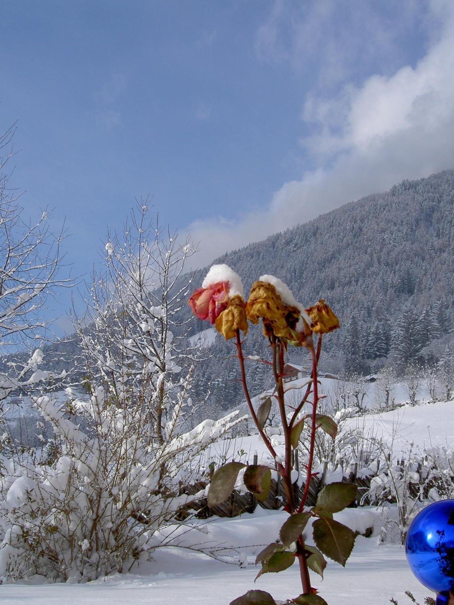 Hotel Haus Tirol Molini di Tures Esterno foto